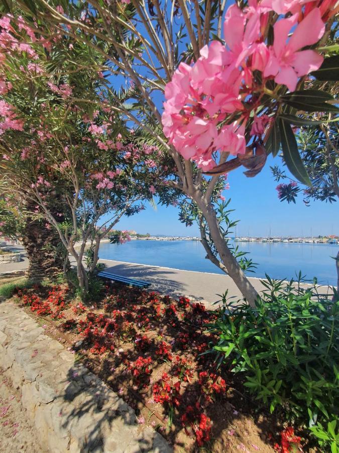 Apartments Mena Bibinje Εξωτερικό φωτογραφία