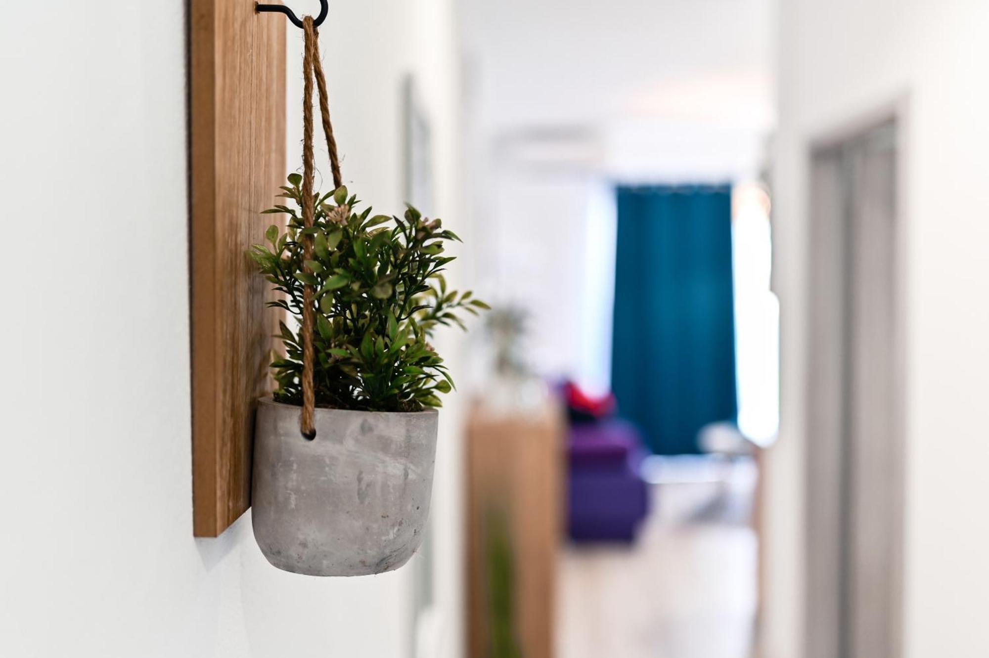 Apartments Mena Bibinje Δωμάτιο φωτογραφία